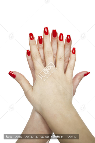 修剪過的女人的手孤立在白色背景