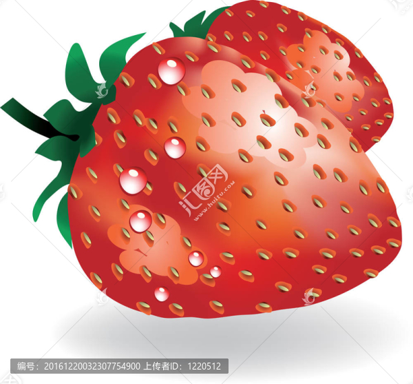 向量的草莓