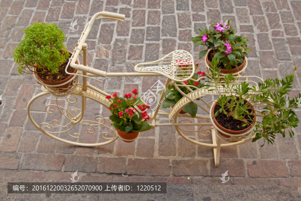 作為花架的自行車