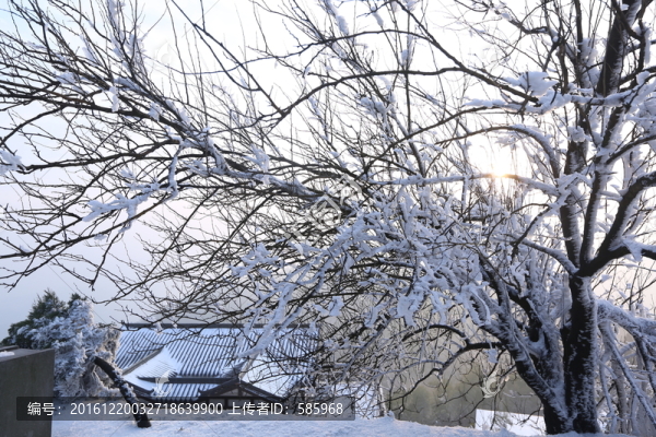 黑麋峰國家森林公園雪景霧凇圖