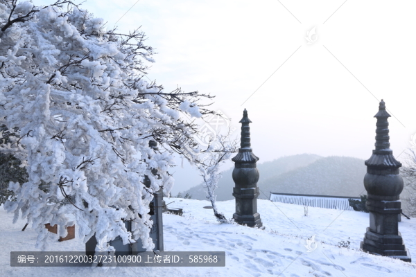 黑麋峰國(guó)家森林公園雪景霧凇圖