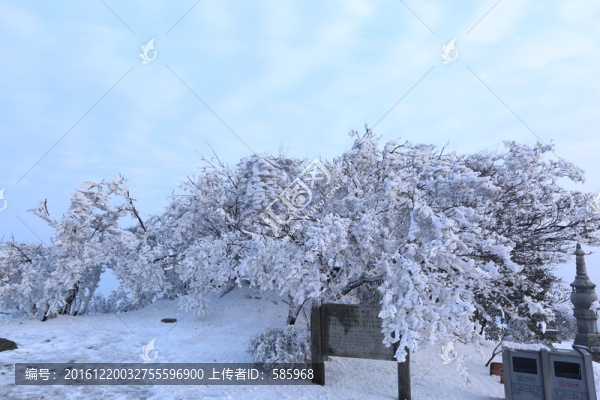 黑麋峰國家森林公園雪景霧凇圖