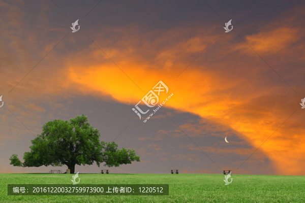 在一個公園作為一個野餐桌上華麗的夏天的日落在你的文本里云遮蔭樹在草坪上一棵大橡樹。