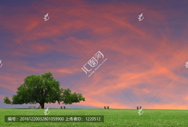 在一個(gè)公園作為一個(gè)野餐桌上華麗的夏天的日落在你的文本里云遮蔭樹在草坪上一棵大橡樹。