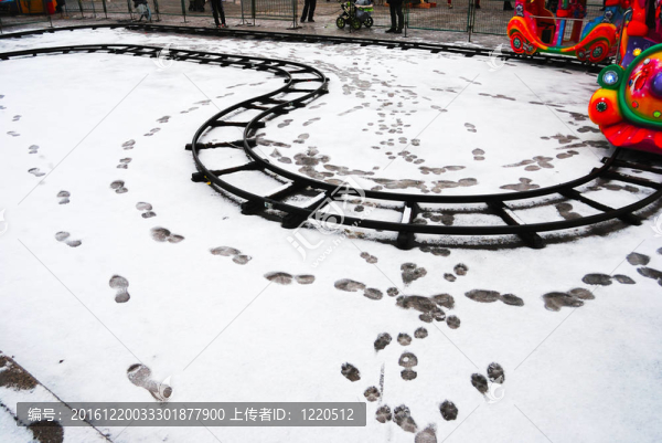 在荒蕪的LunaPark雪