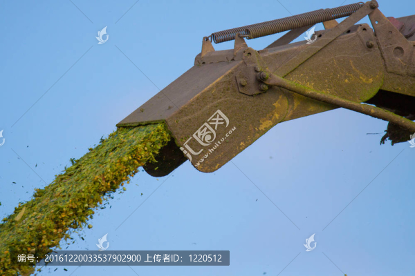 玉米作物切碎塔