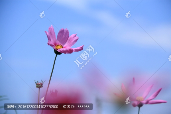 格?；? title=
