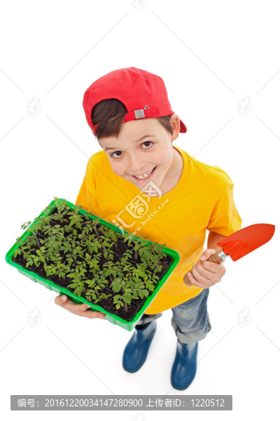 快樂男孩準(zhǔn)備春天幼苗