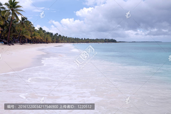 熱帶海灘和棕櫚樹
