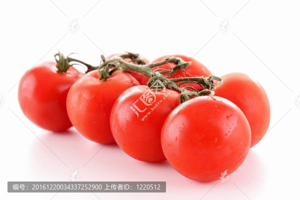 孤立的番茄