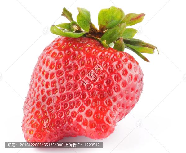 鮮熟草莓