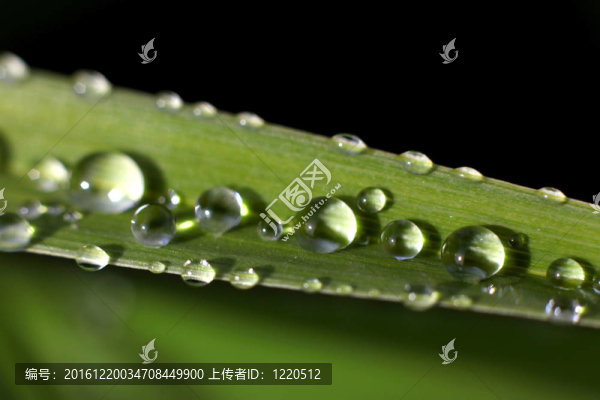 水滴