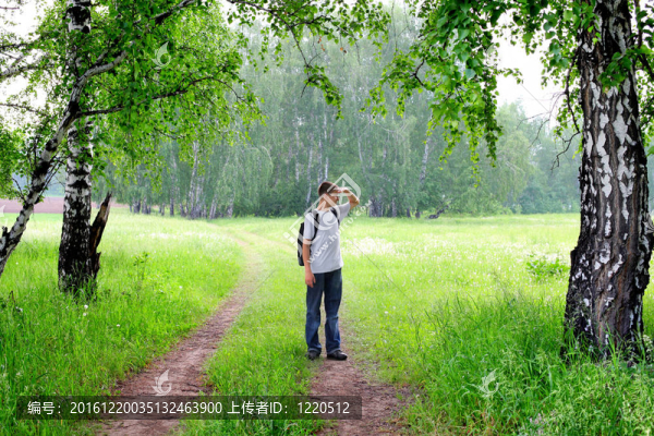 森林中的少年