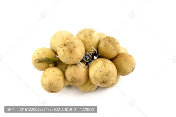 蘭撒
