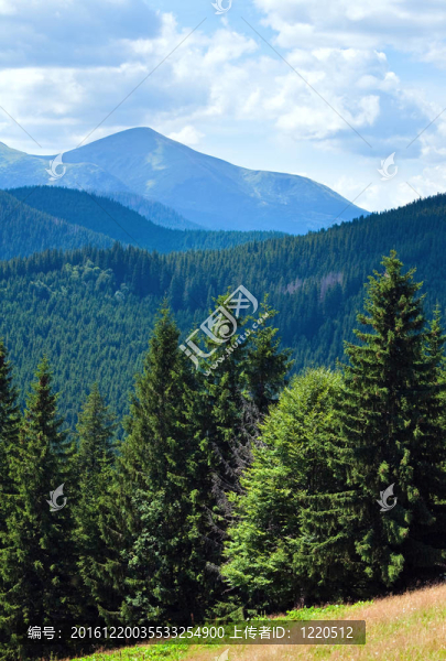 夏山景觀