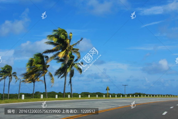 手掌附近道路