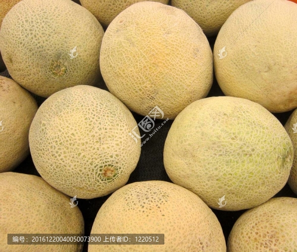 盒新鮮哈蜜瓜
