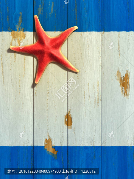 木板上的海星