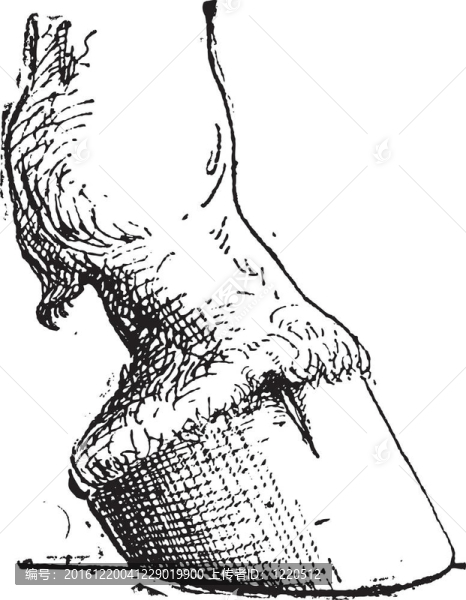 Horse,Hoof；復古版畫