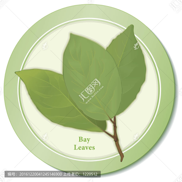 月桂樹(shù)葉草本圖標(biāo)