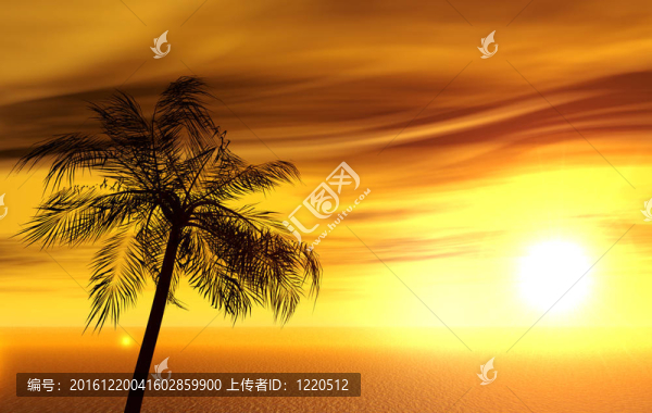 單掌上無人島上日落的太陽