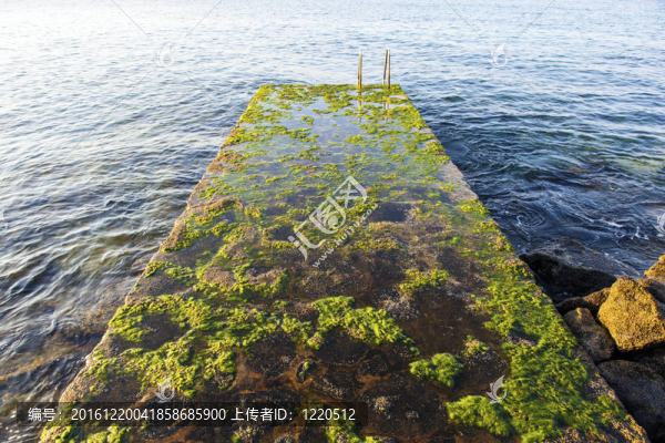 老天梯出海