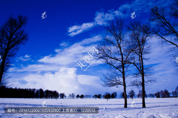 俄羅斯的冬天.神奇的風(fēng)景。