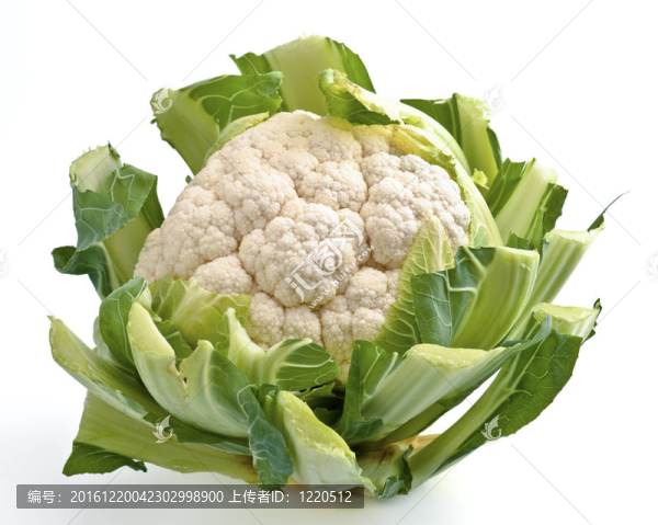 菜花
