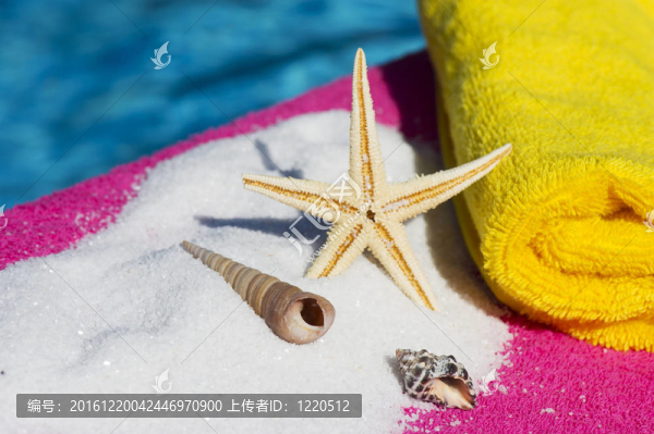 貝殼和海星靠近水