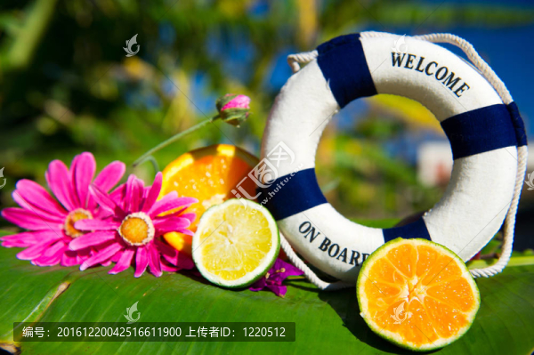 船上熱帶歡迎