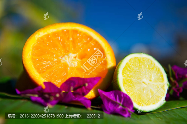 熱帶柑橘類水果