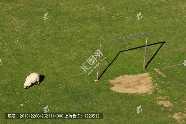 一只羊和一個(gè)足球目標(biāo)