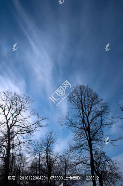 藍色的天空