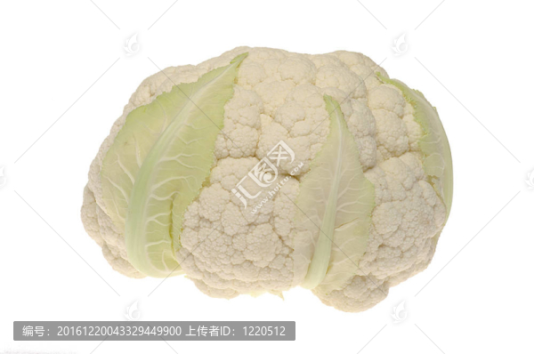 菜花