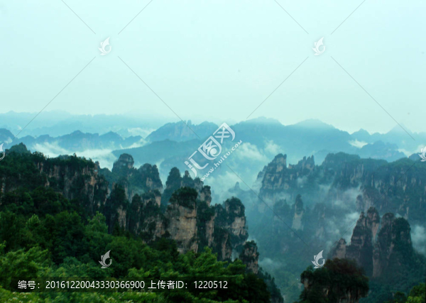 張家界國家森林