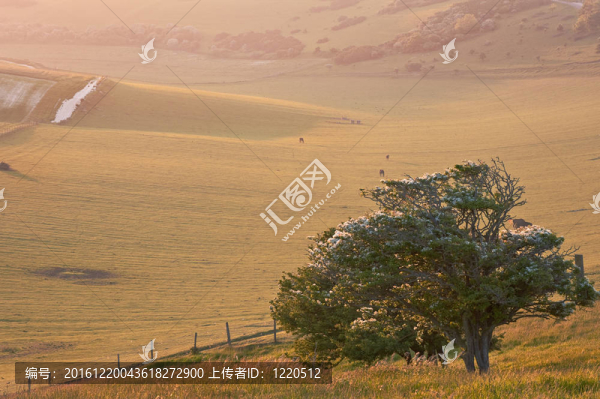 夏日日出英格蘭鄉(xiāng)村田園景觀