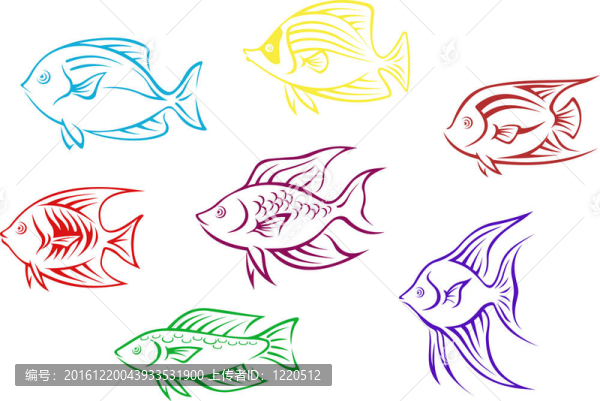 觀賞魚的輪廓