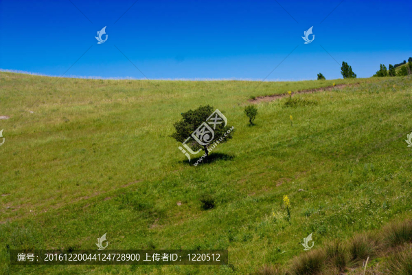 美麗的風(fēng)景在高地