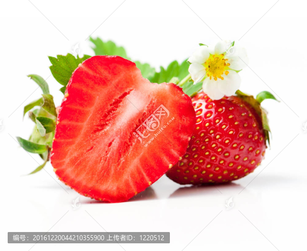 草莓葉子和花