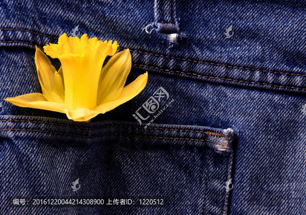 水仙和藍(lán)色牛仔褲