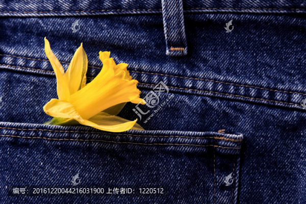 水仙和藍色牛仔褲