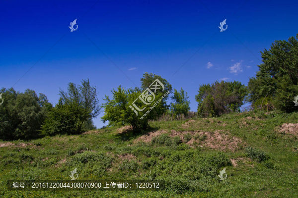 美麗的風(fēng)景在公園里