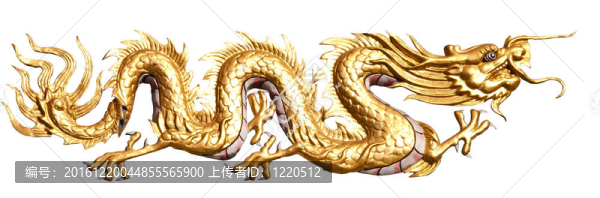 金龍