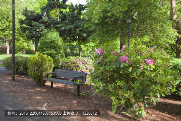 公共公園。