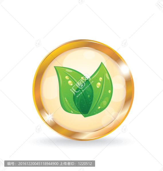 帶生態(tài)葉子的金色圓圈標(biāo)簽