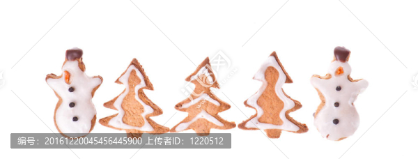 姜雪人和樹