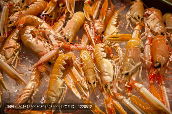 魚市場