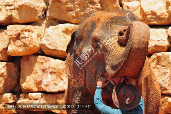 圣經(jīng)動物園