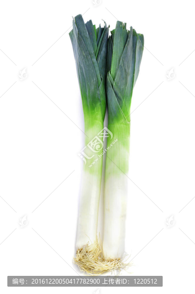 韭菜