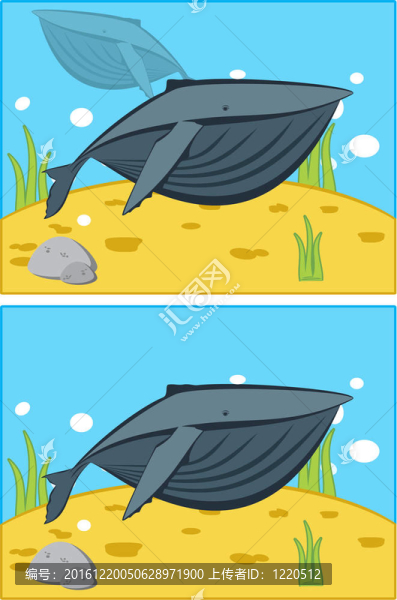 humpbacl鯨魚